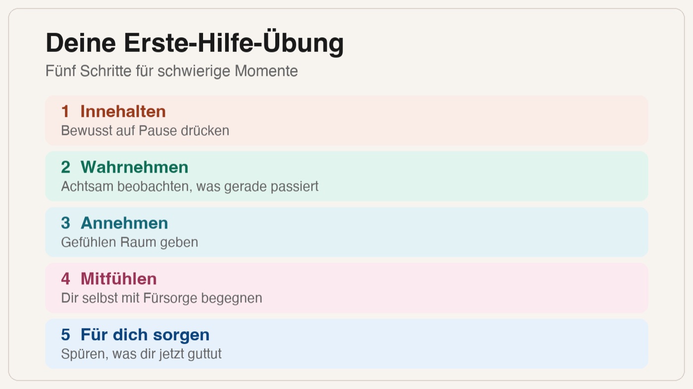 Die fünf Schritte der Erste-Hilfe-Übung